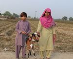 LIVESTOCK GIFTS 2016 SUSTAINABLE PROGRAM REPORT - Penny Appeal USA