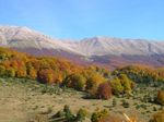 TRIP NOTES 2021 - Abruzzo, the Authentic Wilderness of Central Italy