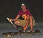 Burmese Pythons in South Florida - Scientific Support for Invasive Species Management