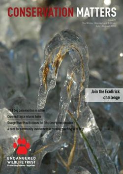 Join the EcoBrick challenge - The Endangered Wildlife Trust