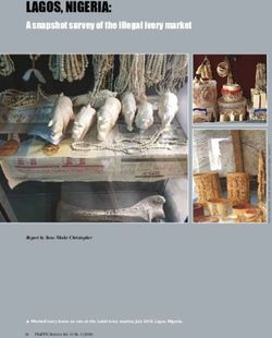 LAGOS, NIGERIA: A snapshot survey of the illegal ivory market - Traffic