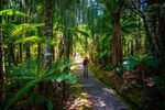 TOURISM WEST COAST MARKETING PLAN 2017 2021