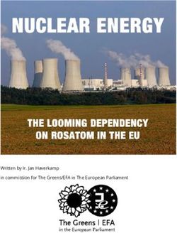 Written by Ir. Jan Haverkamp in commission for The Greens/EFA in The European Parliament - Extranet