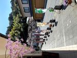 Cherry Blossoms in Kinosaki Onsen - Gorgeous Scenes of Sakura in a Hot Spring Town - Visit Kinosaki