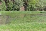 Water is our element! - 2019/2020 AERATION WASTE WATER AERATION OXYGEN-ENRICHMENT - LINN Ger&auml;tebau