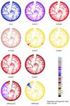 TOPOLOGY IDENTIFIES EMERGING ADAPTIVE MUTATIONS IN SARS-COV-2