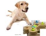 Mod. Modern Objects for Dogs. Pet Catalog 2016.