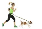 Mod. Modern Objects for Dogs. Pet Catalog 2016.