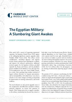 The Egyptian Military: A Slumbering Giant Awakes - Carnegie Endowment for International Peace