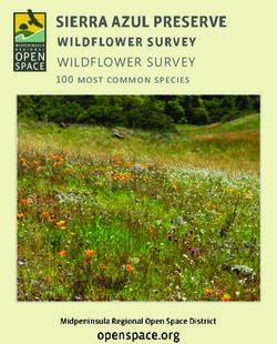 WILDFLOWER SURVEY 100 most common species