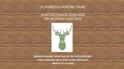 HUNTING SEASON 2019-2020 PRE-BOOKING 2020-2021 - ST HUBERTUS HUNTING TOURS - DRIVEN PHEASANT SHOOTING IN THE CZECH REPUBLIC - St. Hubertus ...