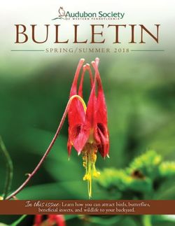 BULLETIN SPRING/SUMMER 2018 - In this issue: Learn how you can attract birds, butterflies, Audubon Society of Western Pennsylvania