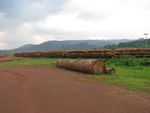 Addressing subcontracting issue to improve timber production - Alain Karsenty, Senior Scientist (economist) - AFORPOLIS