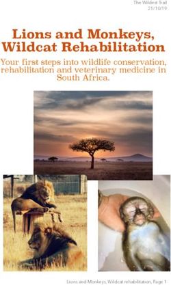 Lions and Monkeys, Wildcat Rehabilitation - Your first steps into wildlife conservation, rehabilitation and veterinary medicine in South Africa ...