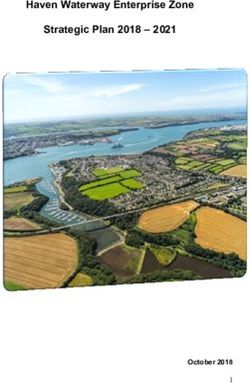 Haven Waterway Enterprise Zone Strategic Plan 2018 2021