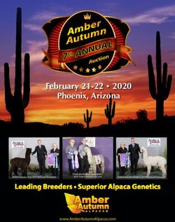 February 21-22 2020 Phoenix, Arizona - www.AmberAutumnAlpacas.com - Amber Autumn Alpacas