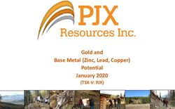 Gold and Base Metal (Zinc, Lead, Copper) Potential January 2020 - (TSX-V: PJX) - PJX Resources Inc.
