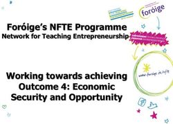 Foróige's NFTE Programme - Network for Teaching Entrepreneurship Working towards achieving - National Youth Council of Ireland