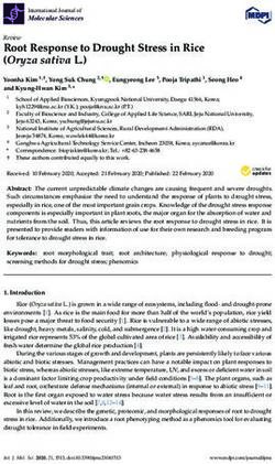 Root Response to Drought Stress in Rice (Oryza sativa L.) - MDPI