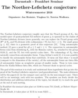 The Noether-Lefschetz conjecture - Darmstadt - Frankfurt Seminar