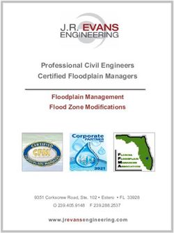 Professional Civil Engineers Certified Floodplain Managers - Floodplain Management Flood Zone Modifications