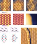 Visualizing atomic structure and magnetism of 2D magnetic insulators via tunneling through graphene