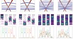 Visualizing atomic structure and magnetism of 2D magnetic insulators via tunneling through graphene