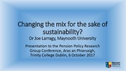 Changing the mix for the sake of sustainability? - Dr Joe Larragy, Maynooth University - Pension Policy ...