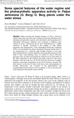 Some special features of the water regime and the photosynthetic apparatus activity in Feijoa sellowiana (O. Berg) O. Berg plants under the water ...