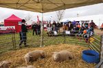 Mudgee small farm field days - 2018 prospectus