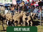 Mudgee small farm field days - 2018 prospectus