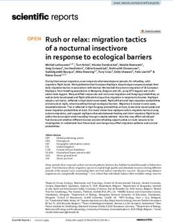 Rush or relax: migration tactics of a nocturnal insectivore in response to ecological barriers