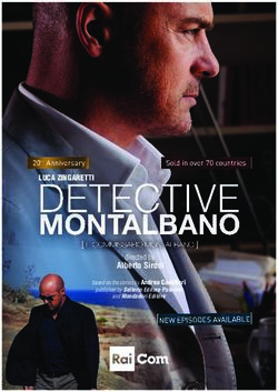 LUCA ZINGARETTI Alberto Sironi - directed by - Rai