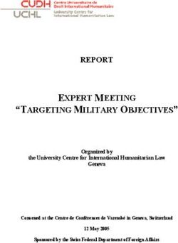 EXPERT MEETING "TARGETING MILITARY OBJECTIVES"