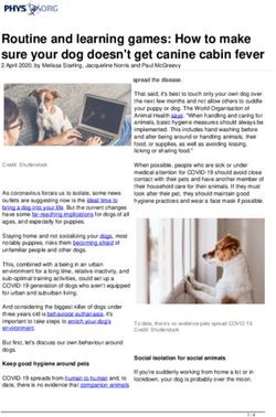 Routine and learning games: How to make sure your dog doesn't get canine cabin fever - Phys.org