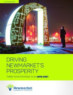 Driving newmarket's ProsPerity - three-year strategic Plan 2019-2021 - november 2018 - Newmarket Chamber of ...