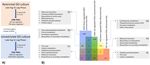 Effect of restricted dissolved oxygen on expression of Clostridium difficile toxin A subunit from E. coli - Nature