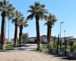 SPONSOR REPORT 2020 DESERT CIRCUIT - Desert International Horse Park