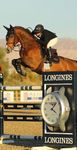 SPONSOR REPORT 2020 DESERT CIRCUIT - Desert International Horse Park