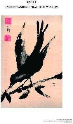 UNDERSTANDING PRACTICE WISDOM - Brill