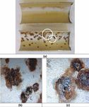 Corrosion - Institute of Corrosion