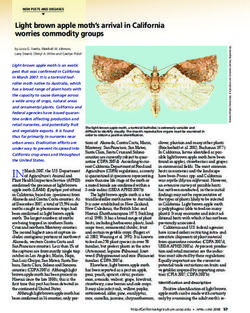 Light brown apple moth's arrival in California worries commodity groups
