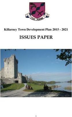 ISSUES PAPER Killarney Town Development Plan 2015 2021 - Cllr Donal Grady