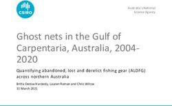 Ghost nets in the Gulf of Carpentaria, Australia, 2004- 2020