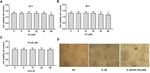 Xanthohumol Attenuated Inflammation and ECM Degradation by Mediating HO-1/C/EBP&beta; Pathway in Osteoarthritis Chondrocytes - Frontiers
