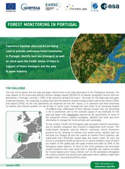 FOREST MONITORING IN PORTUGAL - EARSC