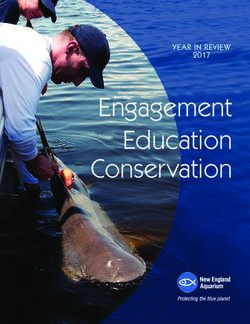 Engagement Education Conservation - YEAR IN REVIEW 2017 - New England Aquarium