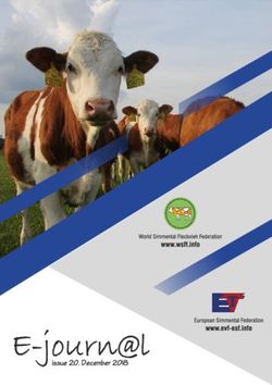 Fleckvieh friends - WSFF