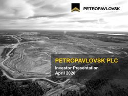 PETROPAVLOVSK PLC Investor Presentation April 2020