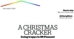 A CHRISTMAS CRACKER Going troppo in Mt Pleasant - December 2018 - Neighbourly